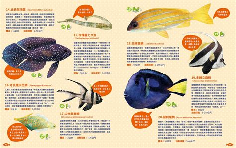 魚的排名|國家地理雜誌